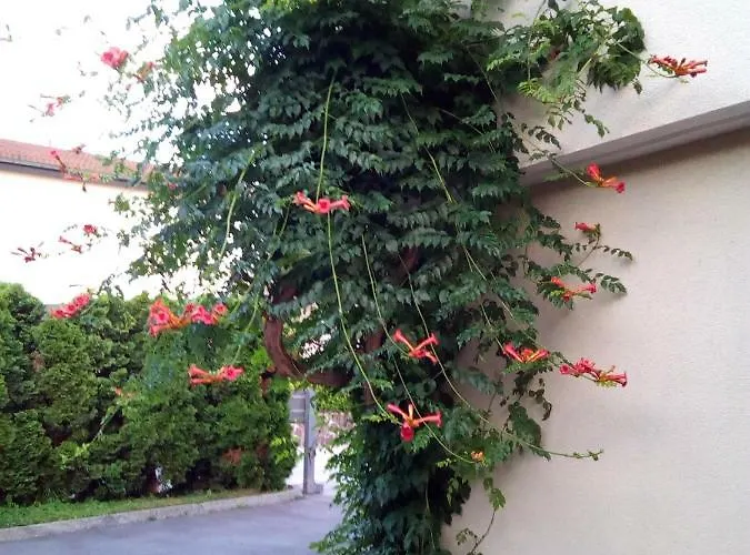 Apartma Bbq Ljubljana