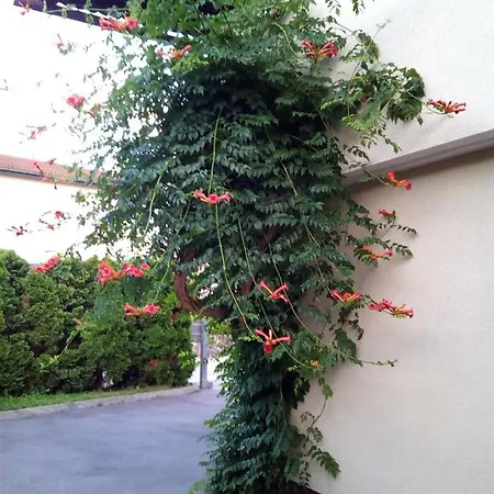 公寓 Bbq 卢布尔雅那